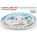 Tira LED Flexible 24V 14W/mt 120 Led/mt SMD 2835 IP20 Especial Frutería, Serie Profesional, venta por metros Tira LED Flexible 24V 14W/mt 120 Led/mt SMD 2835 IP20 Especial Frutería, Serie Profesional, venta por metros